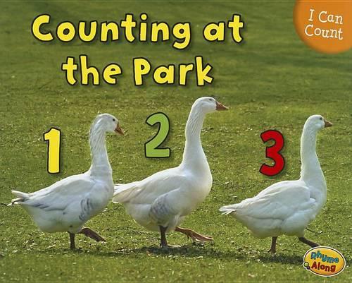 I Can Count Counting at the Park