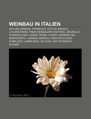 Weinbau in Italien