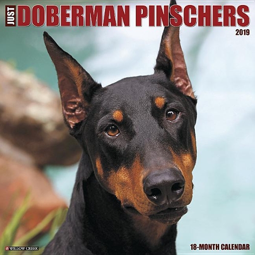 Just Dobermans 2019 Wall Calendar (Dog Breed Calendar)