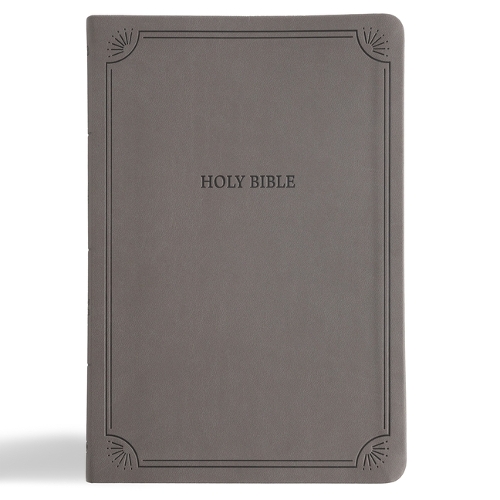 NASB Large Print Thinline Bible, Value Edition, Charcoal Leathertouch