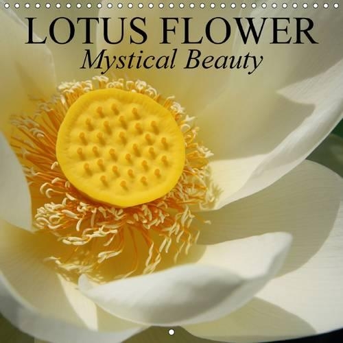 Lotus Flower - Mystical Beauty 2017