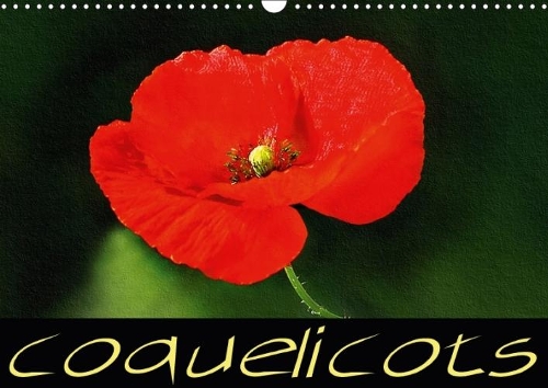 Coquelicots 2018