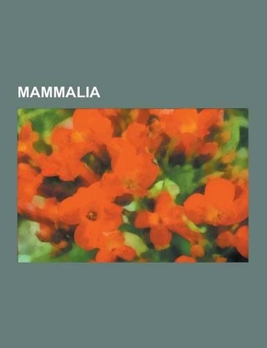 Mammalia