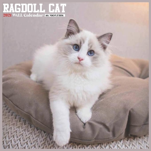 Ragdoll Cat 2021 Wall Calendar