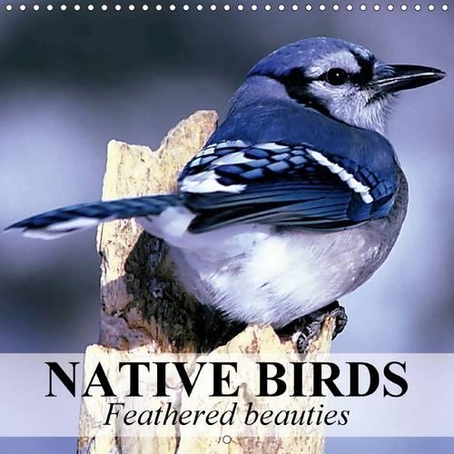 Native Birds - Feathered beauties 2015
