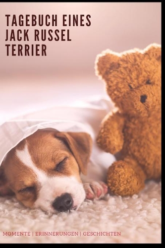 Jack Russel Terrier Momente Erinnerungen Geschichten