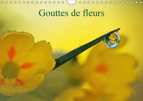 Gouttes de fleurs 2016