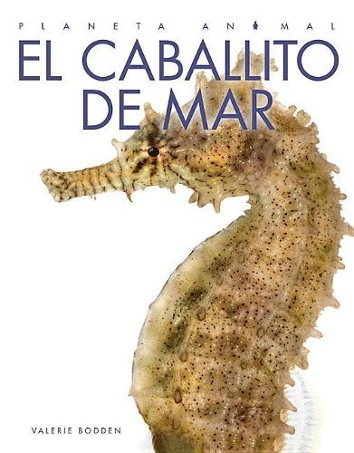 El Caballito de Mar