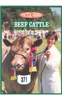 Beef Cattle