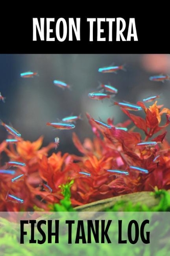 Neon Tetra Fish tank Log