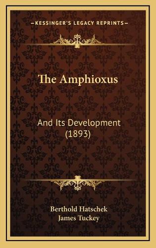 The Amphioxus