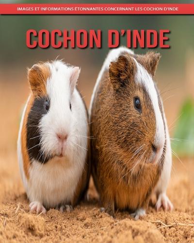 Cochon d'Inde