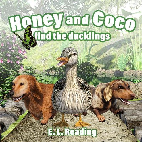 Honey and Coco find the ducklings