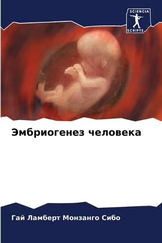 Эмбриогенез человека