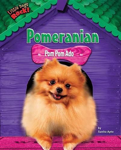 Pomeranian