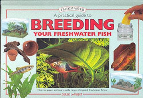 Practical Guide to Breeding Your Freshwater Fish