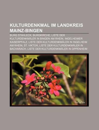 Kulturdenkmal Im Landkreis Mainz-Bingen