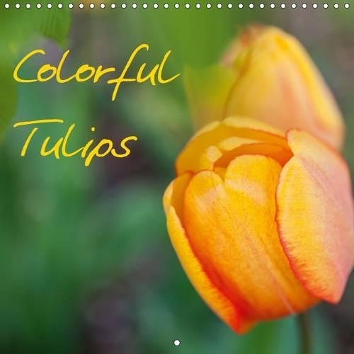 Colorful Tulips 2015