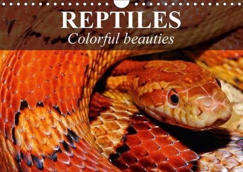 Reptiles Colorful Beauties 2017