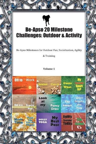 Be-Apso 20 Milestone Challenges