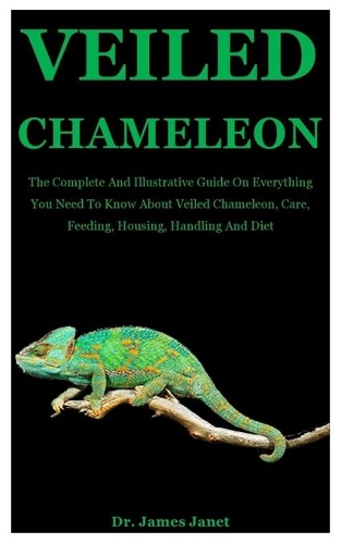 Veiled Chameleon