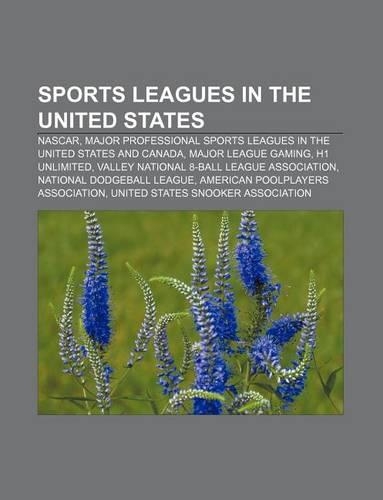 Sports Leagues in the United States