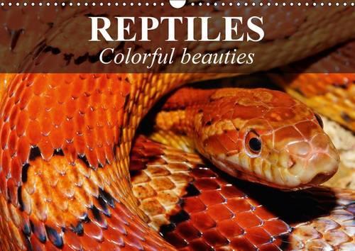 Reptiles Colorful Beauties 2017