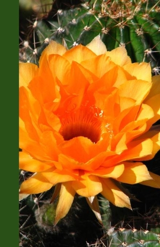 Checking Account Ledger