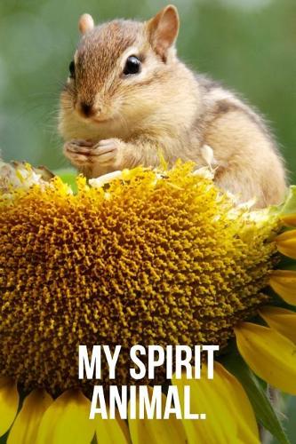My Spirit Animal