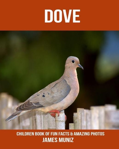 Dove
