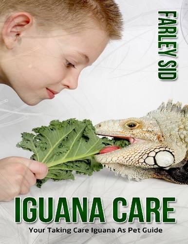 Iguana Care: Your Taking Care Iguana as Pet Guide