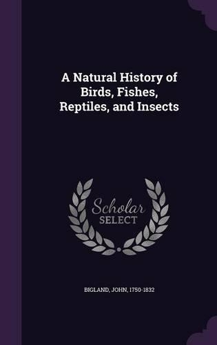 A Natural History of Birds, Fishes, Reptiles, and Insects