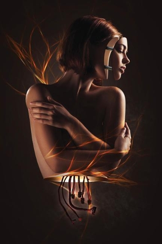 Halflife Grid Notebook