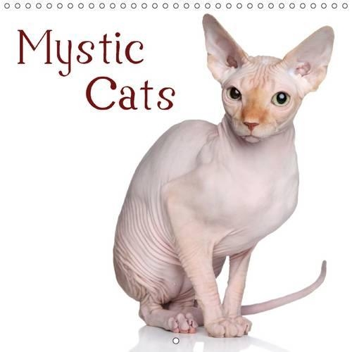 Mystic Cats 2016