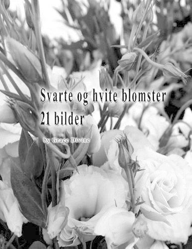 Svarte og hvite blomster 21 bilder