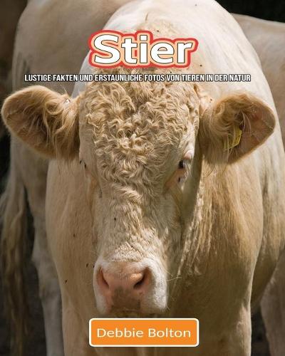 Stier