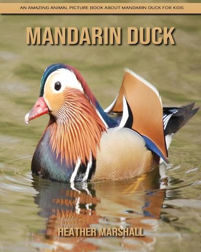 Mandarin Duck
