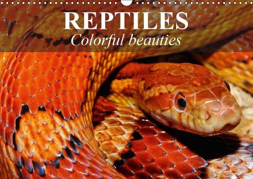 Reptiles Colorful beauties 2019
