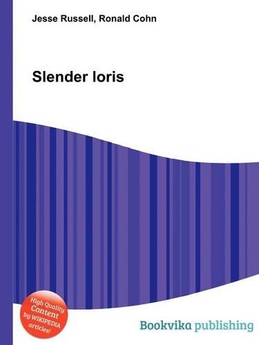 Slender Loris