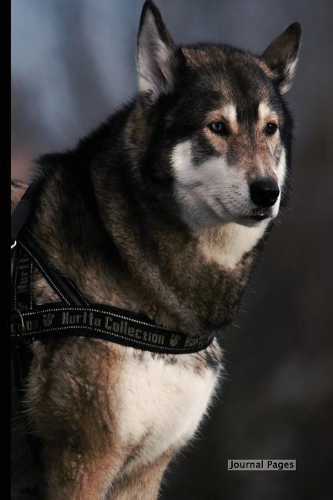 Journal Pages - Husky Dog Book (Bullet Journal)