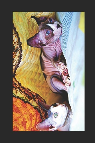 Sphynx Cat Lovers Journal