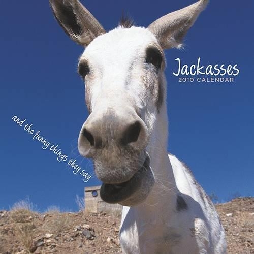 Jackasses 2010 Wall