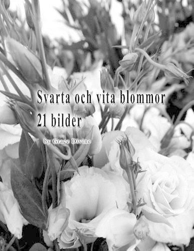 Svarta och vita blommor 21 bilder