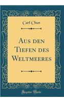 Aus Den Tiefen Des Weltmeeres (Classic Reprint)