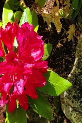 2019 Weekly Planner Bright Summer Bloom 134 Pages