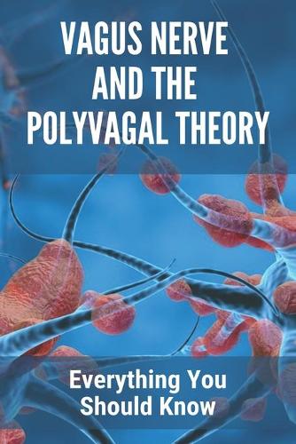 Vagus Nerve And The Polyvagal Theory