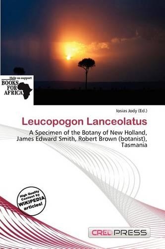 Leucopogon Lanceolatus