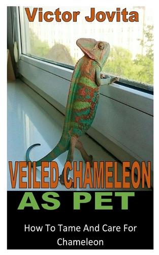 Veiled Chameleon as Pet