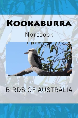 Kookaburra
