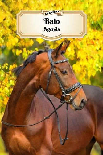 2020 Baio Agenda